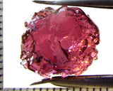 Tourmaline – Mozambique – 8.27 cts - Ref. TOB-623