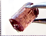 Tourmaline – Mozambique – 11.38 cts - Ref. TOB-630 - THIS STONE HAS BEEN RESERVED