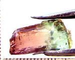 Tourmaline , tri-colour – Mozambique – 12.25 cts - Ref. TOB-632