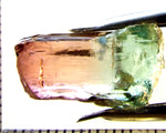 Tourmaline , tri-colour – Mozambique – 12.25 cts - Ref. TOB-632
