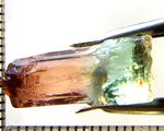 Tourmaline , tri-colour – Mozambique – 12.25 cts - Ref. TOB-632