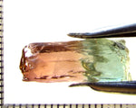 Tourmaline , tri-colour – Mozambique – 12.25 cts - Ref. TOB-632