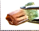 Tourmaline , tri-colour – Mozambique – 12.25 cts - Ref. TOB-632