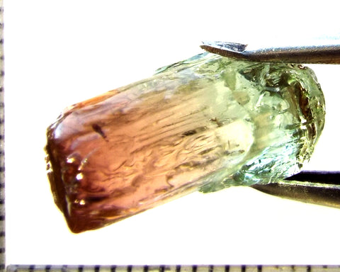 Tourmaline , tri-colour – Mozambique – 12.25 cts - Ref. TOB-632