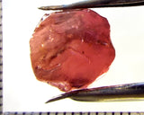 Tourmaline – Mozambique – 10.28 cts - Ref. TOB-633