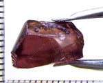 Tourmaline – Mozambique– 6.83 cts - Ref. TOB-494