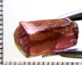Tourmaline – Mozambique– 6.62 cts - Ref. TOB-498