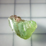 Tourmaline – Nigeria – 9.67 cts - Ref. TOB-313