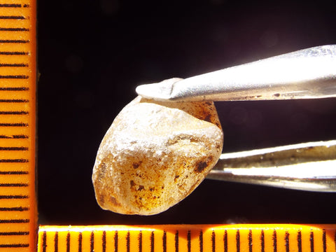 Zircon - Tanzania 16.23 cts - Ref. ZR/46