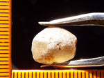 Zircon - Tanzania 16.23 cts - Ref. ZR/46
