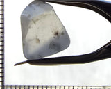 Zircon - Tanzania 16.01 cts - Ref. ZR/68