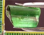 ﻿Tourmaline - 10.63 cts - Ref. TOB-63