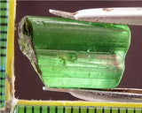﻿Tourmaline - 10.63 cts - Ref. TOB-63