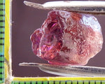 ﻿Tourmaline - 12.99 cts - Ref. TOB-64