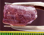 ﻿Tourmaline - 12.99 cts - Ref. TOB-64