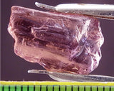 ﻿Tourmaline - 12.99 cts - Ref. TOB-64
