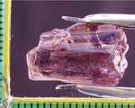 ﻿Tourmaline - 12.99 cts - Ref. TOB-64
