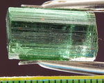 ﻿Tourmaline - 11.83 cts - Ref. TOB-72