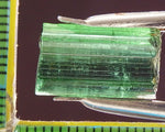 ﻿Tourmaline - 11.83 cts - Ref. TOB-72