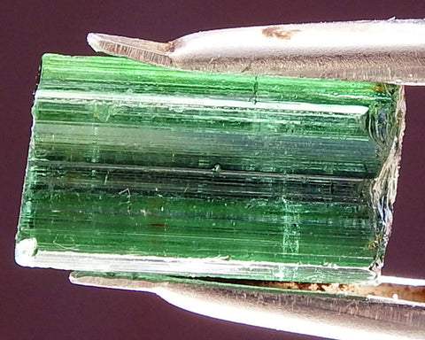 ﻿Tourmaline - 11.83 cts - Ref. TOB-72