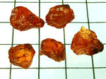 Spessartite Garnet - Mozambique -Total weight 32.13 cts Ref. CA/51